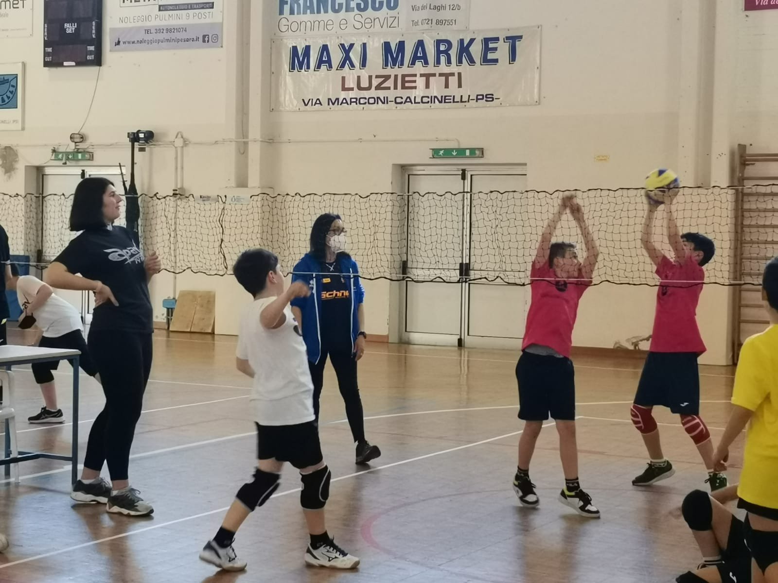 Volley S3 Livello 2 Maschile e Misto