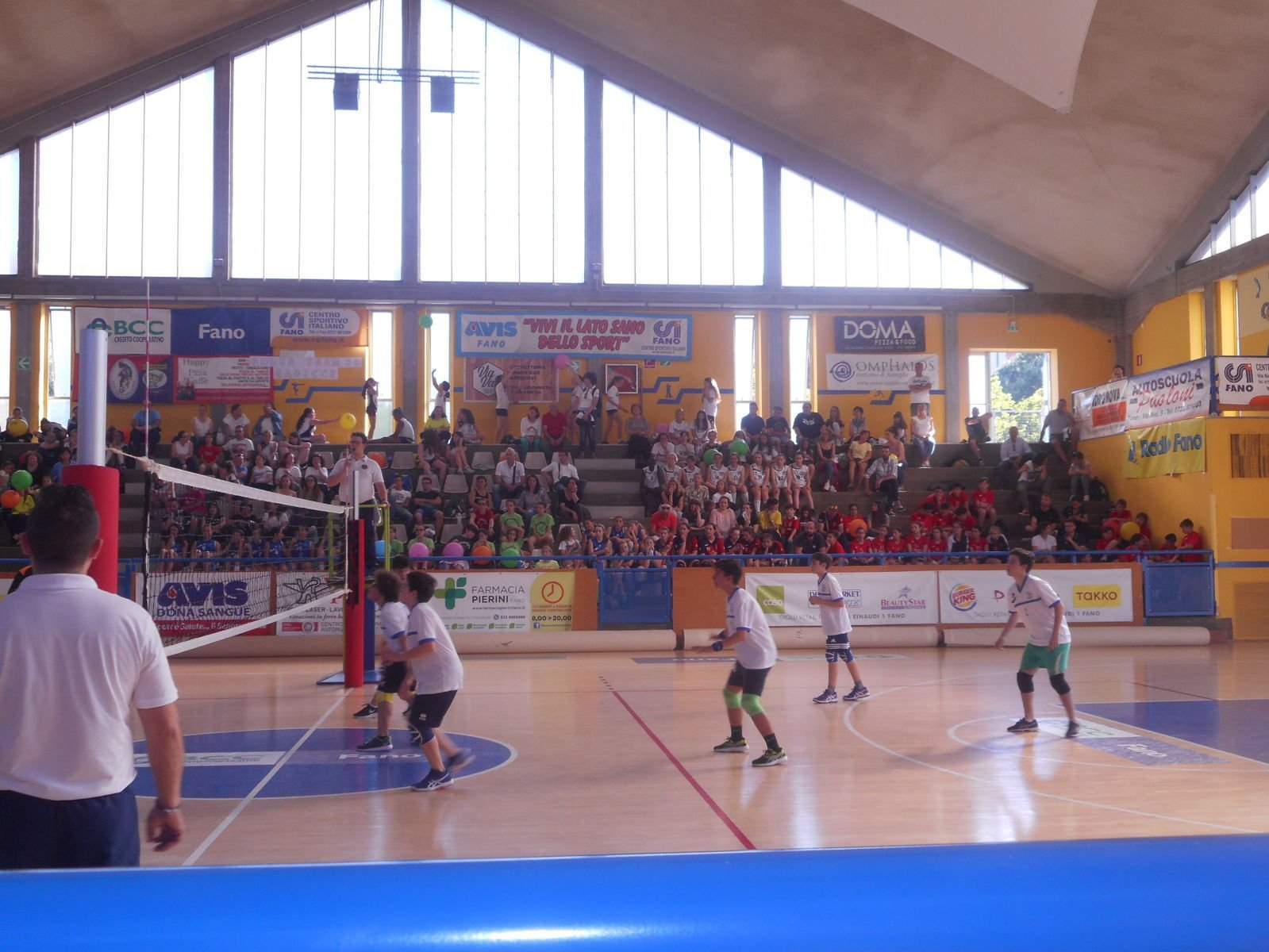 Trofeo Anna Zattoni 2017-18